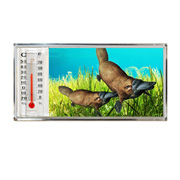 3D Thermometer Magnet Platypus